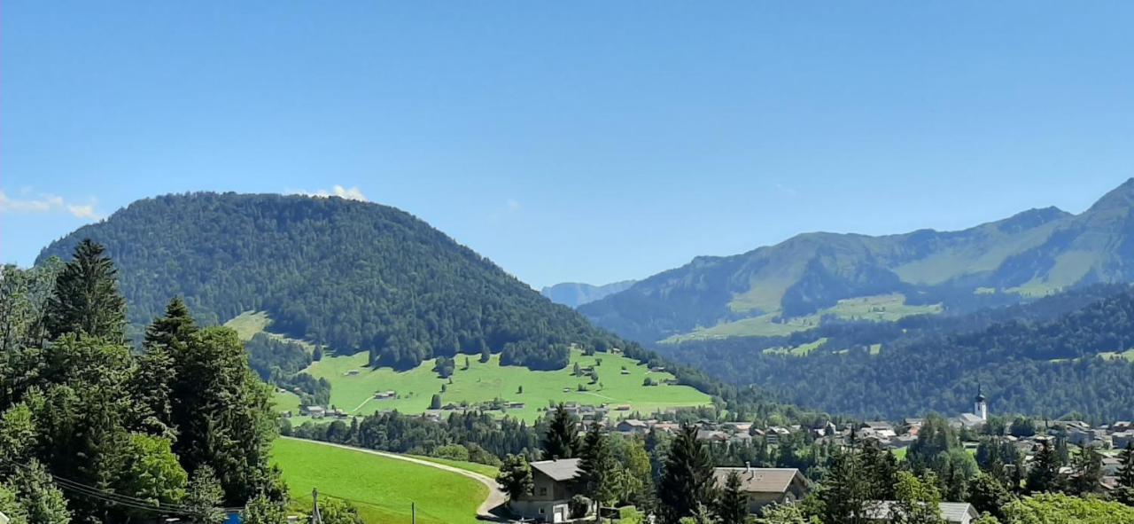 Ferienwohnung Schoenenbuehl Hittisau Luaran gambar