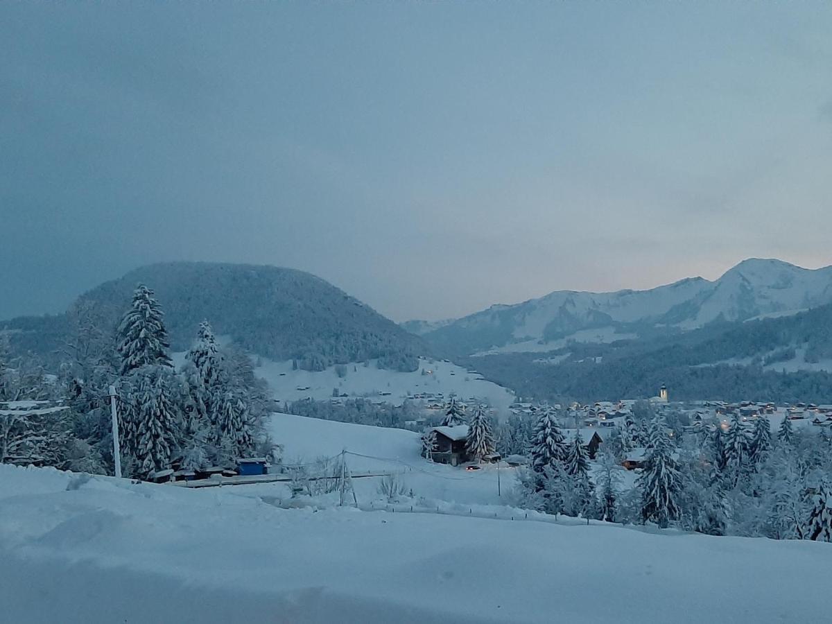 Ferienwohnung Schoenenbuehl Hittisau Luaran gambar