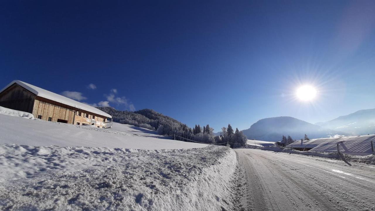 Ferienwohnung Schoenenbuehl Hittisau Luaran gambar