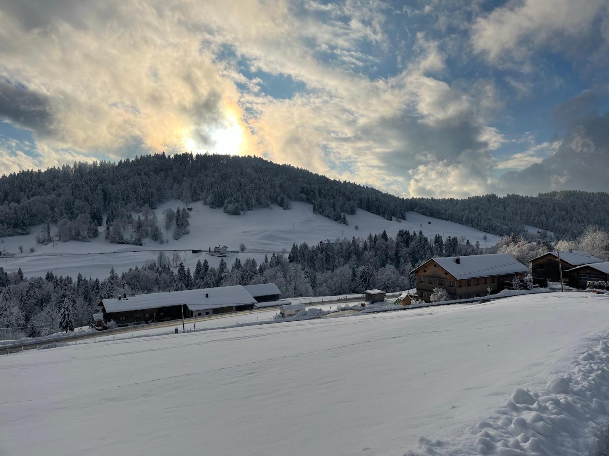Ferienwohnung Schoenenbuehl Hittisau Luaran gambar