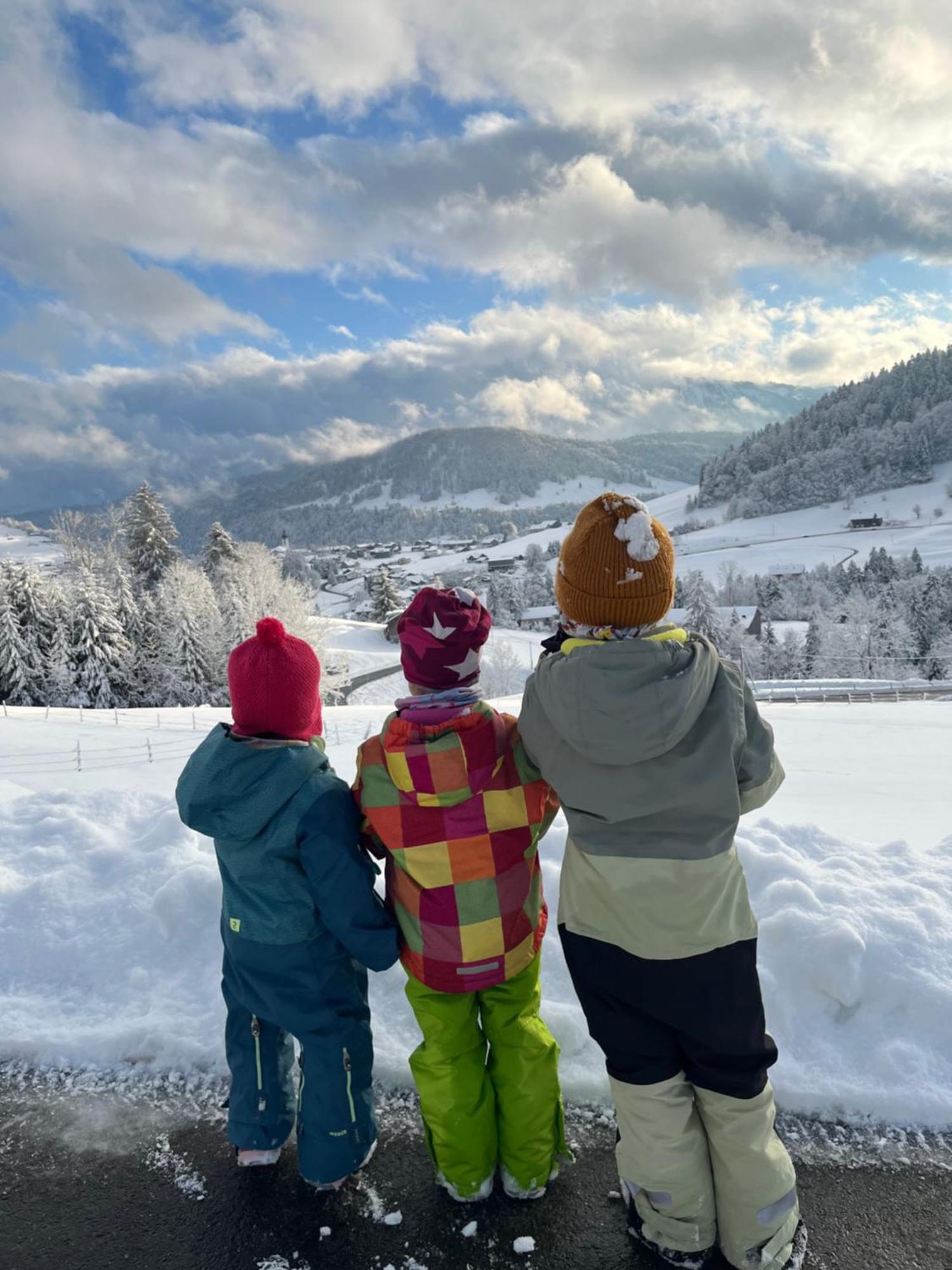 Ferienwohnung Schoenenbuehl Hittisau Luaran gambar